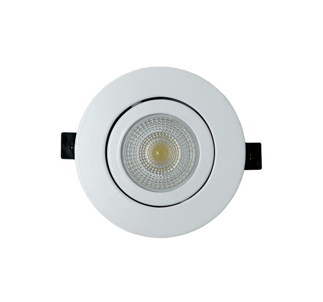 4" Fire Rated Gimbal Downlight PAR20