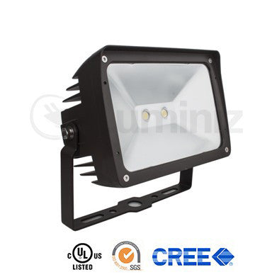 Floodlight 30W : 120V AC